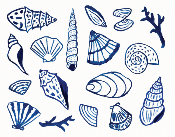 Shells