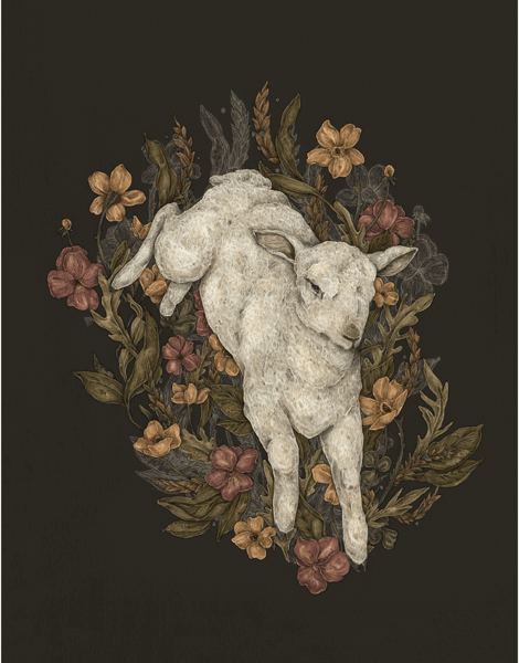 Lamb