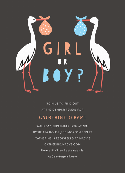 Stork Gender Reveal