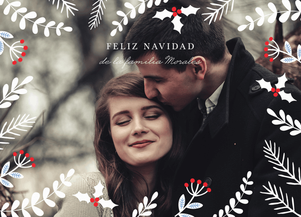 Flores De Navidad