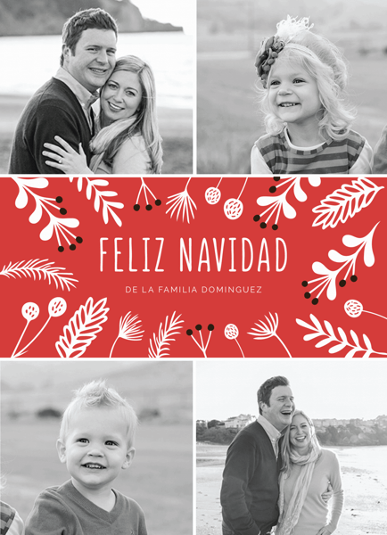 Flores De Navidad