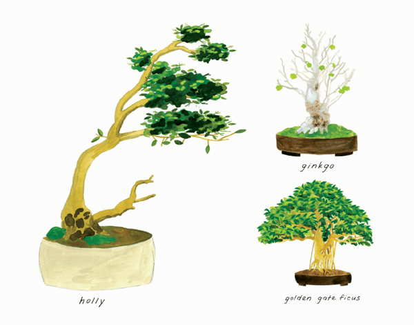 Painted Bonsai